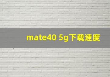 mate40 5g下载速度